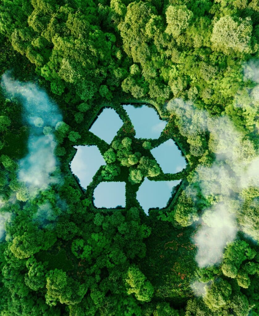 iStock-1342229204 - Copie