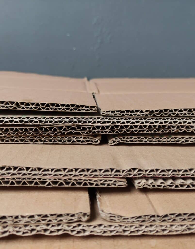 iStock-1490229299 - Copie